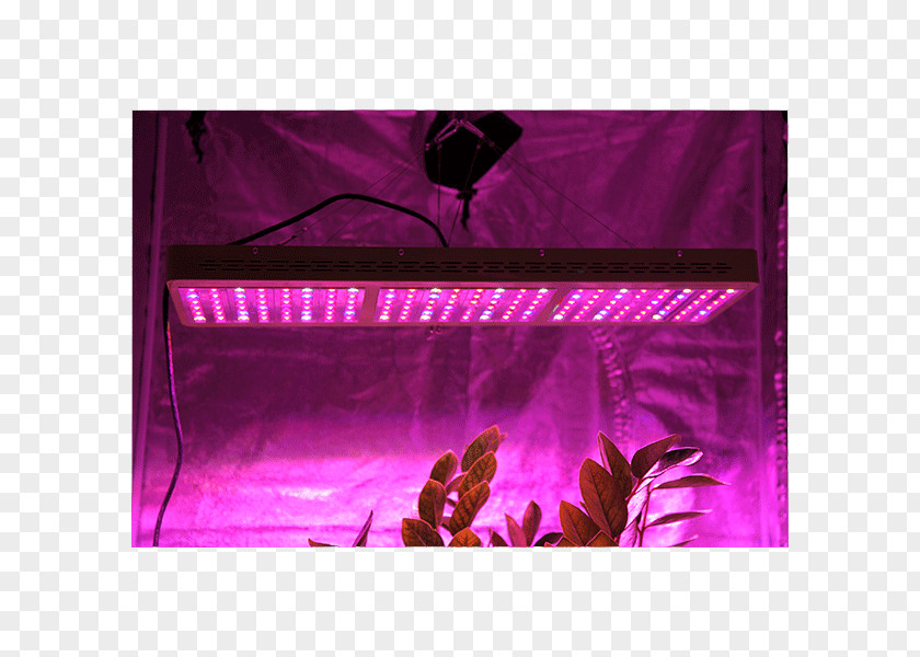 Reflector Light Grow Light-emitting Diode LED Lamp PNG