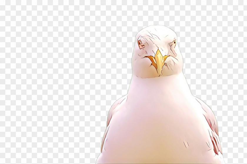 Bird Pink Beak Neck PNG