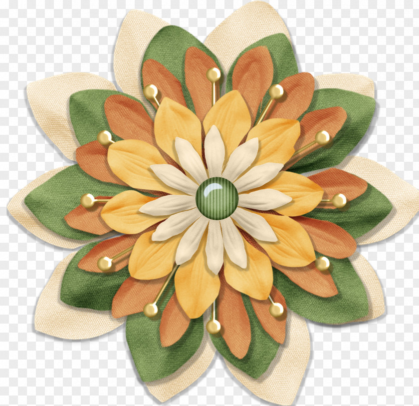 Botones Web Cut Flowers Petal PNG