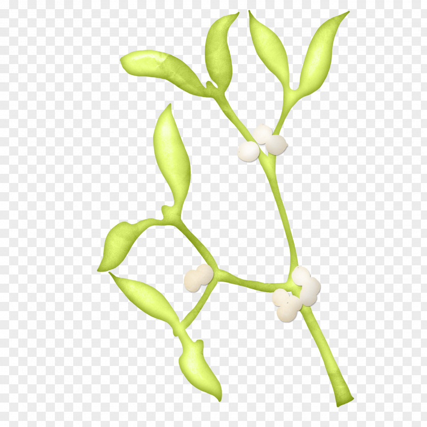 Leaves Free Download Leaf Twig PNG