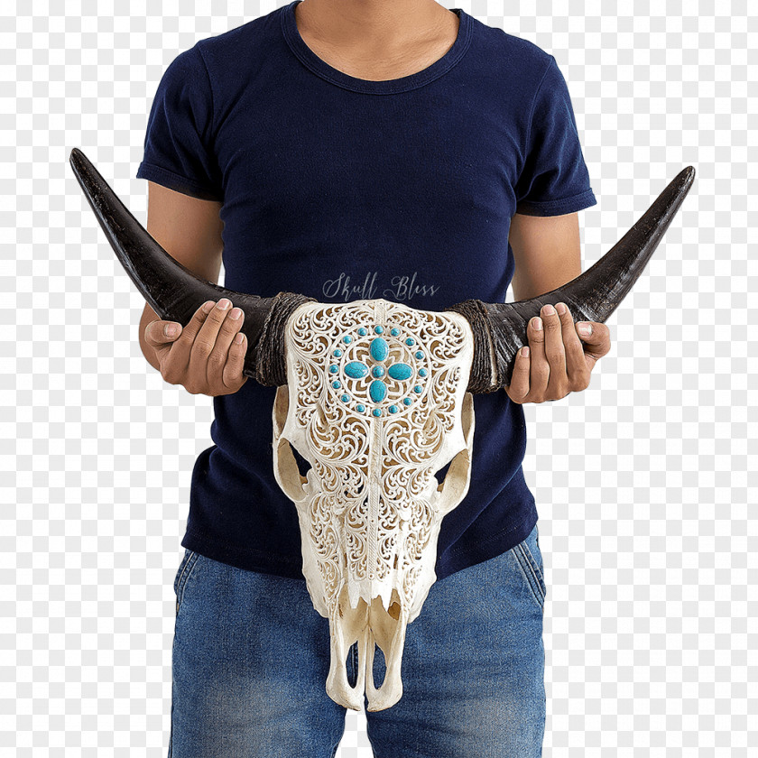 Skull XL Horns Cattle Neck PNG