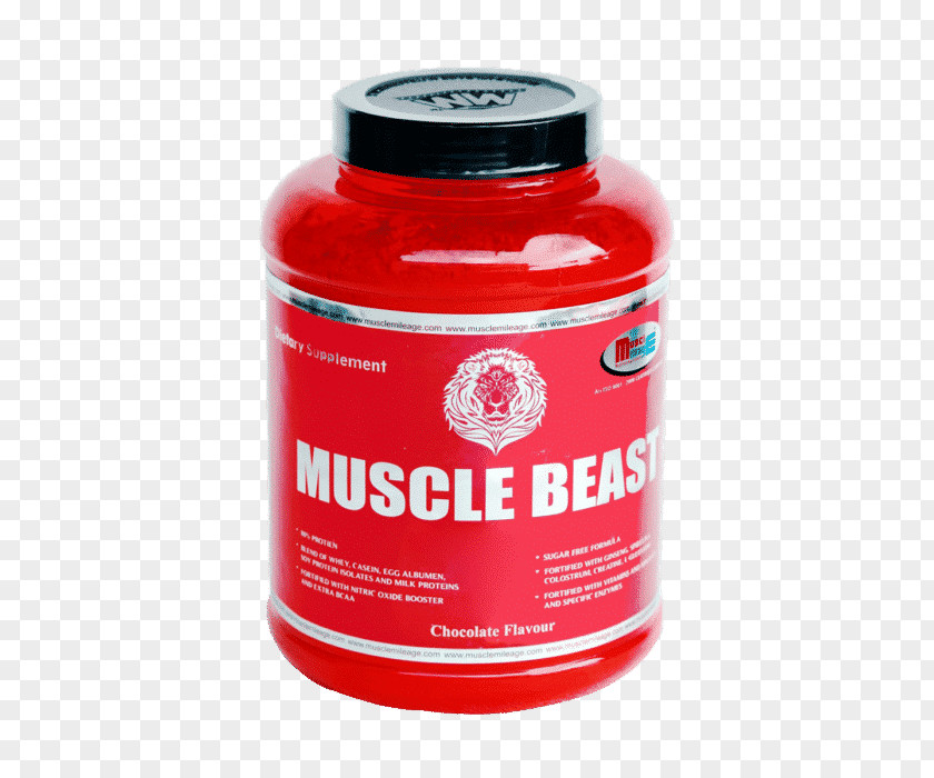 Strength Building Dietary Supplement Muscle Hypertrophy Protein Amino Acid PNG