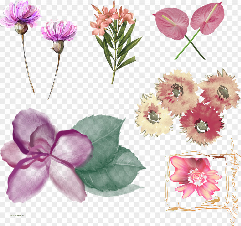 Flower Floral Design Cut Flowers IFolder DepositFiles PNG