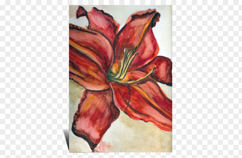 Ink Watercolor Canna Amaryllis Belladonna Indian Shot Flower Art PNG
