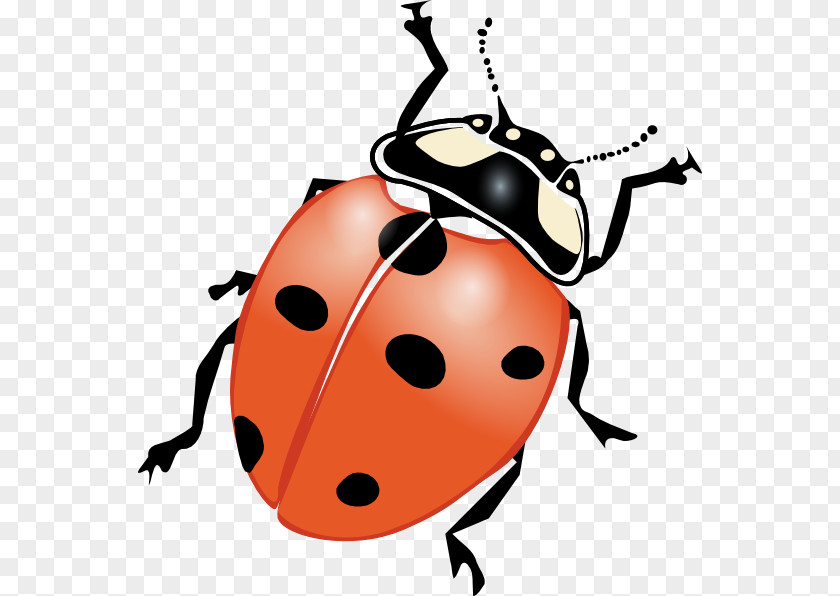 Ladybug Flying Cliparts Ladybird Drawing Clip Art PNG