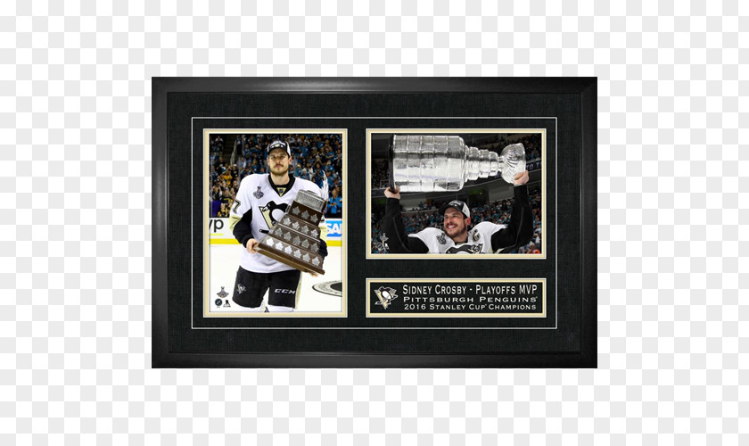 2016 Stanley Cup Finals Pittsburgh Penguins National Hockey League Sport PNG