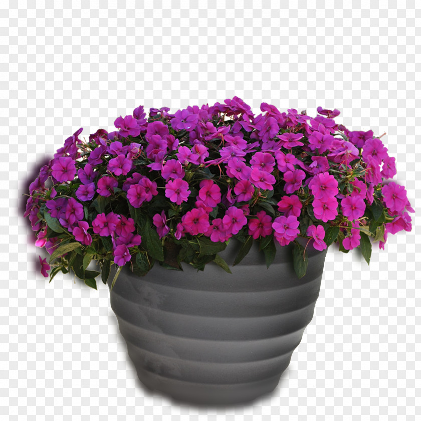 Clip Art Free Content Image Flowerpot PNG