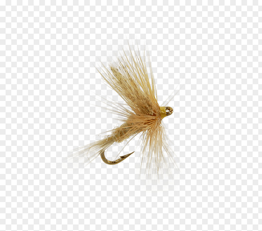 Fly Tying Insect Artificial PNG