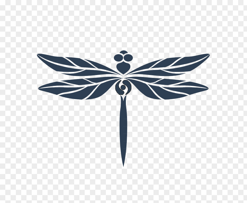 Insect Dragonfly PNG