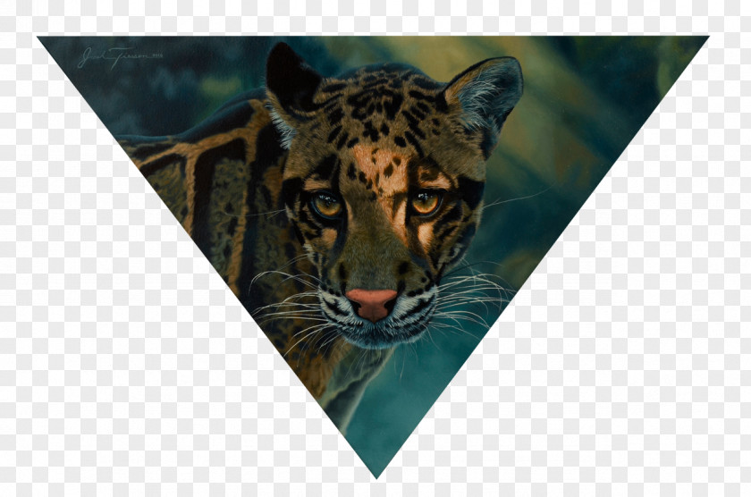 Tiger Big Cat Fauna Wildlife PNG