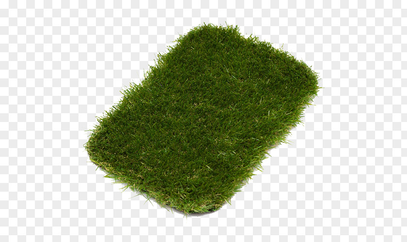 Garden Design Lawn Landscaping Artificial Turf PNG