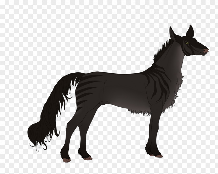Mustang Stallion Dog Donkey Pack Animal PNG