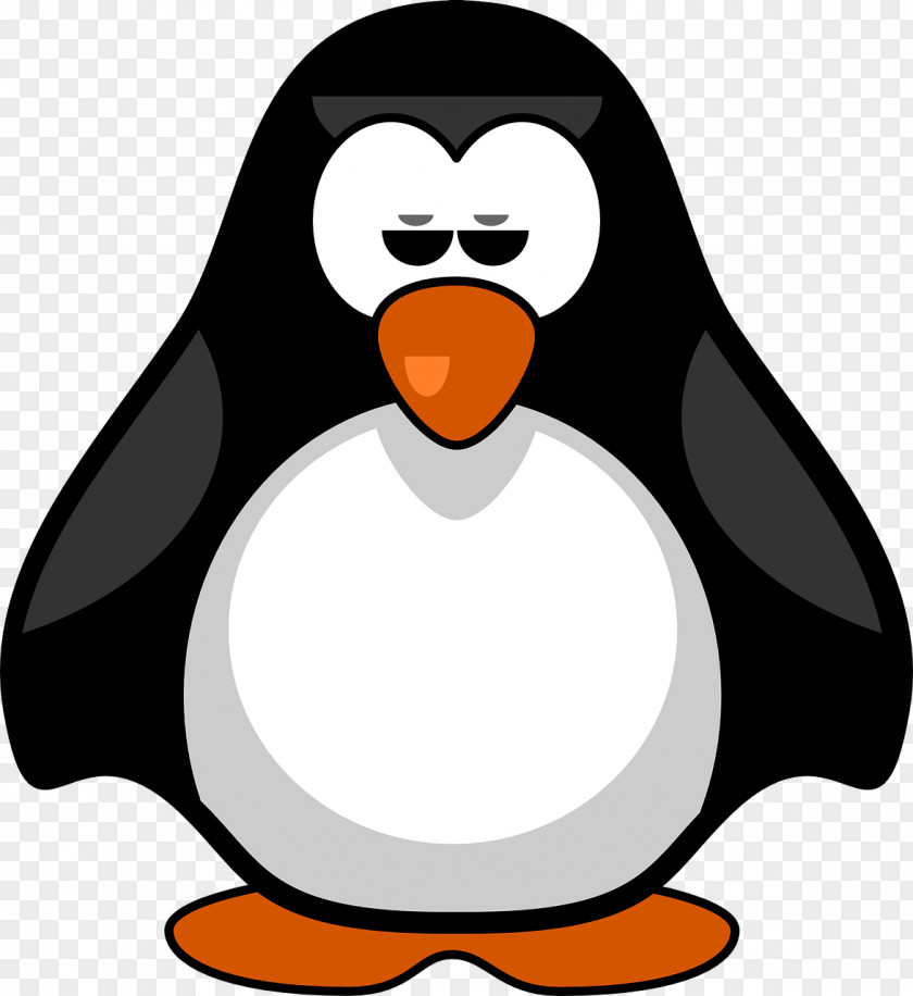 Penguin Antarctica Bird Paper Clip Art PNG