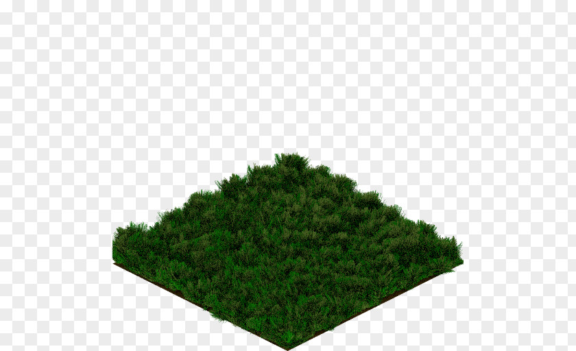 Prairie FreeCol Animation Tree Computer Graphics PNG
