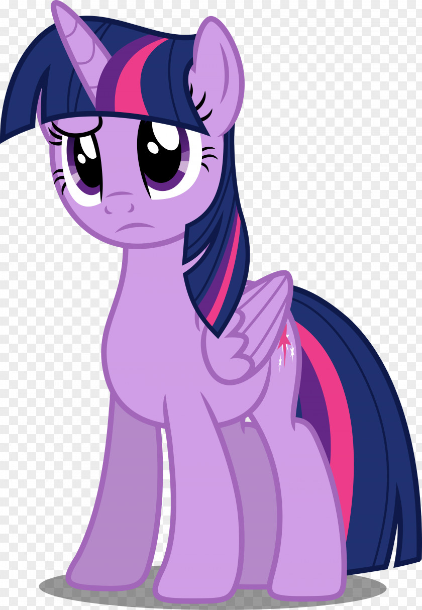 Sparkles Twilight Sparkle Princess Cadance The Saga My Little Pony Rainbow Dash PNG