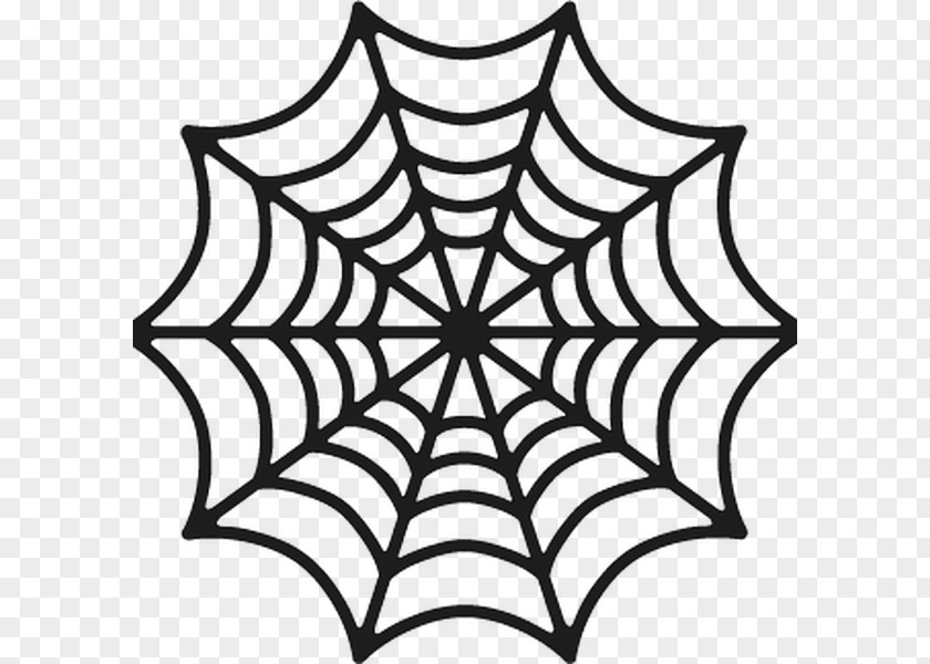 Spider Web Download Clip Art PNG
