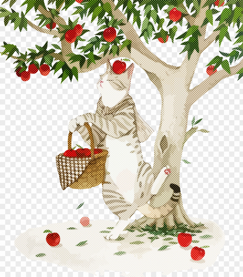 Cat Apples PNG