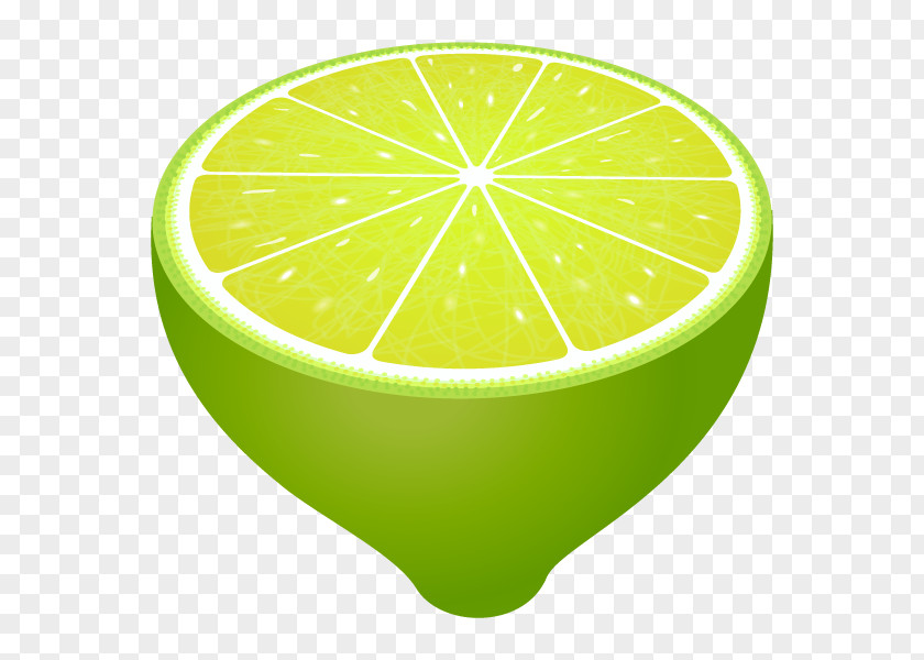 Lime Illustration Lemon Adobe Illustrator PNG