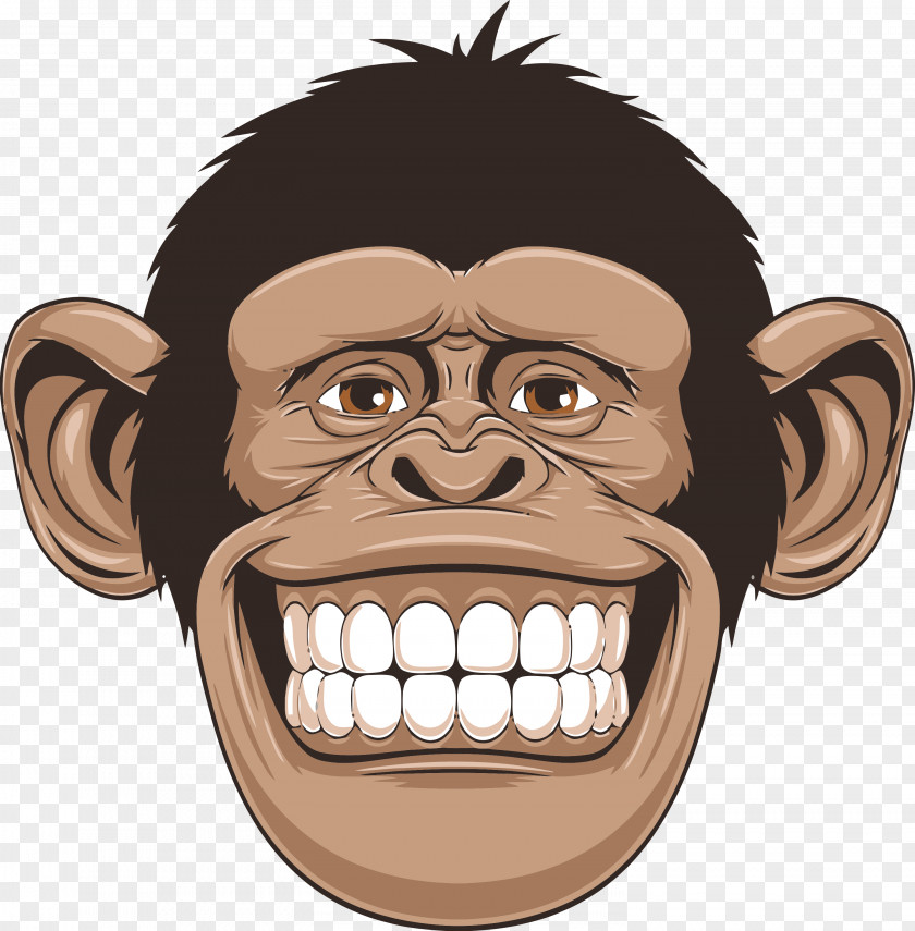 Monkey Chimpanzee Primate Drawing PNG