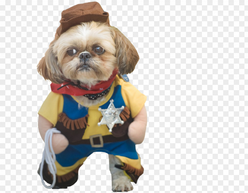 Puppy Shih Tzu Dog Breed Halloween Costume PNG