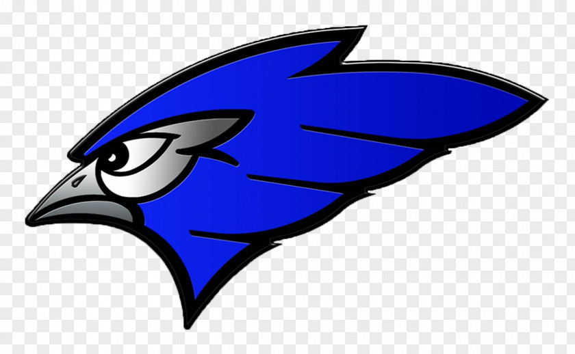 School Jamestown Public Schools High Toronto Blue Jays District 1 PNG