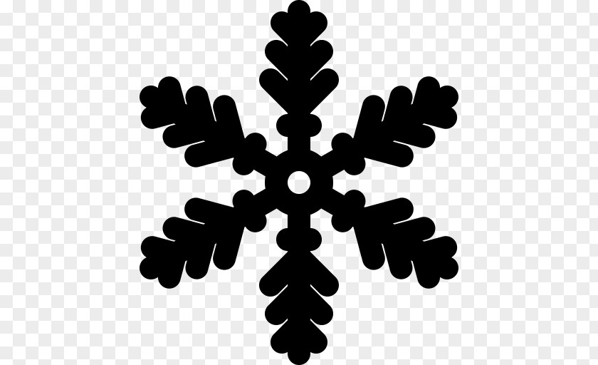 Snowflake Freezing PNG