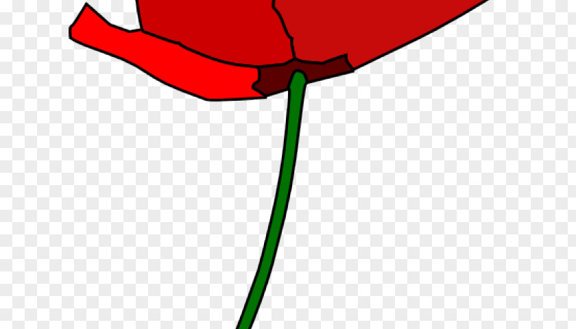 Anzac Border Clip Art Remembrance Poppy Flower Illustration PNG