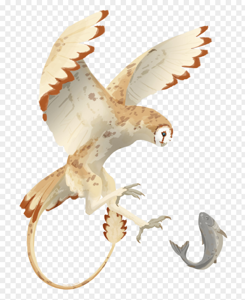 Eagle Beak Falcon Tail PNG