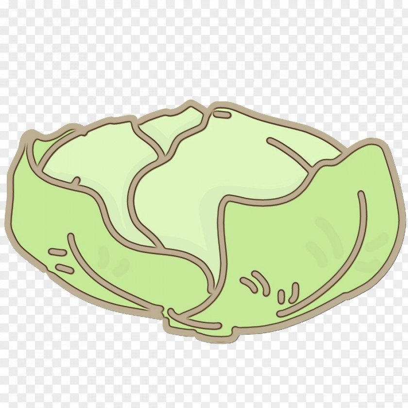 Frogs Green Font Fashion Area PNG