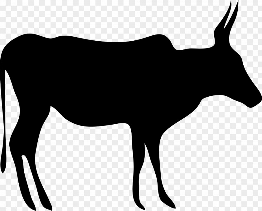 Silhouette Texas Longhorn English Beef Cattle Drawing PNG