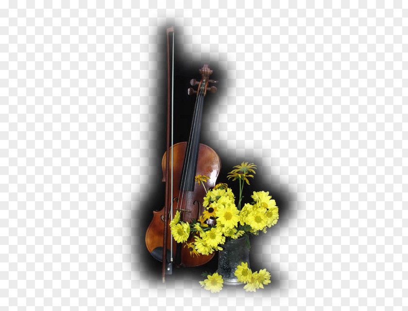 Violin Cello Viola Musical Instruments PNG