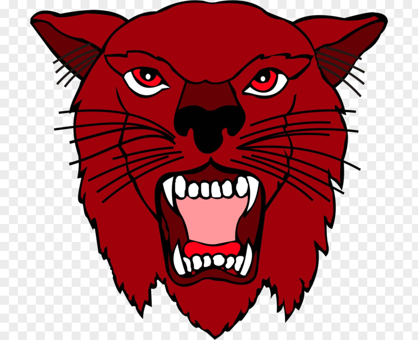 American Football Calallen High School Arizona Wildcats PNG