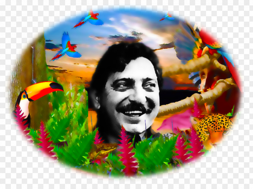 Chico Mendes 15 December Translation Puerto Rico Nature PNG