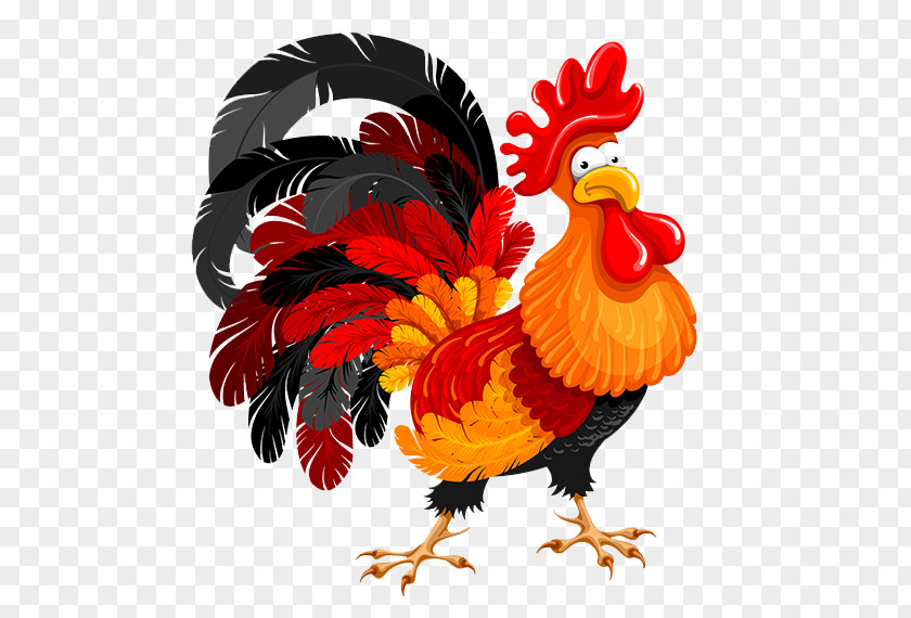 Cock Chicken Rooster Illustration PNG