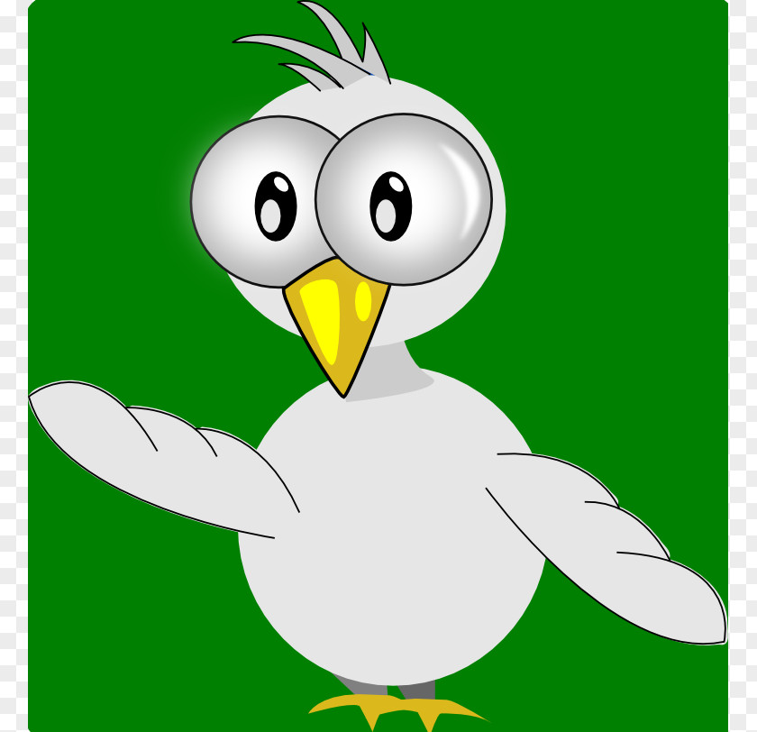 Dove Graphics Tweety Duck Clip Art PNG