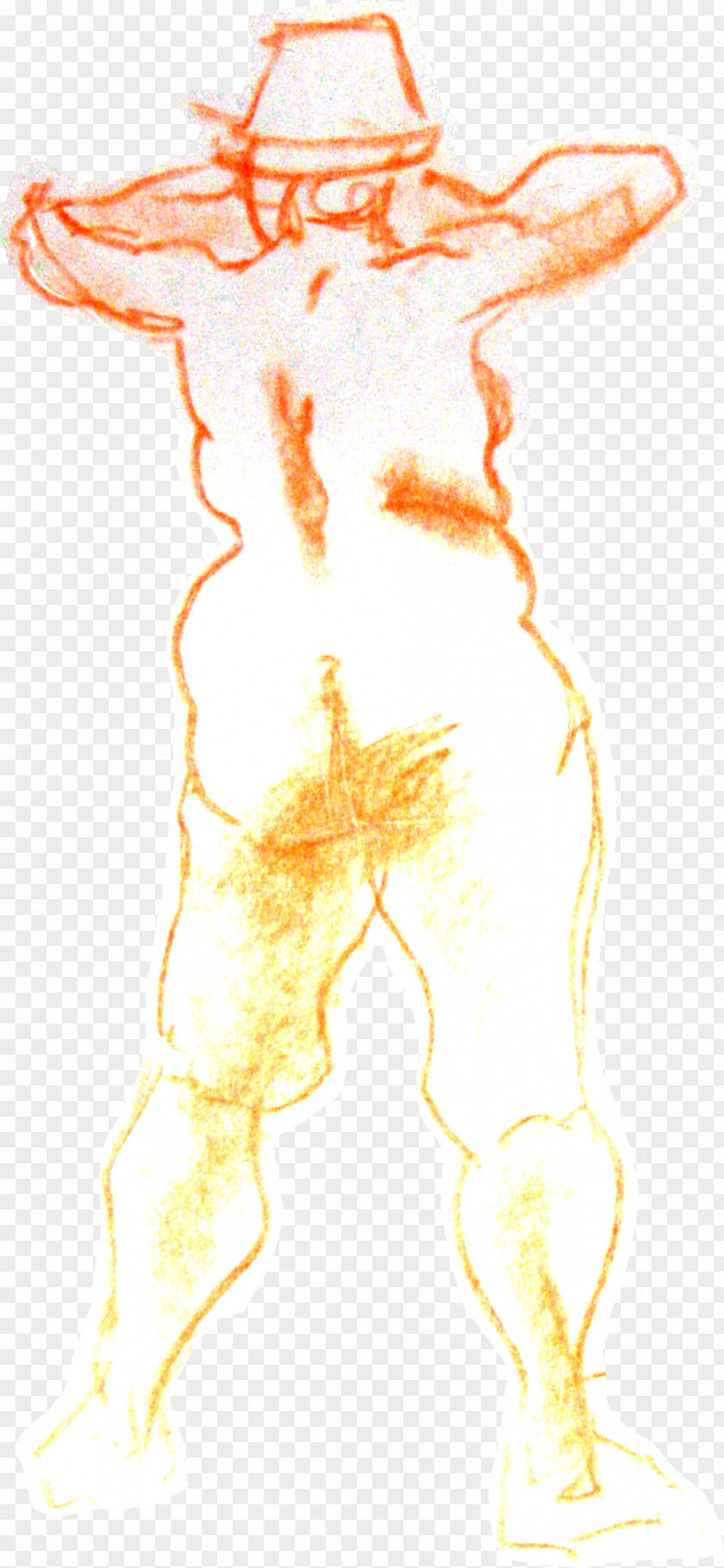 Drawing Homo Sapiens Figure Sketch PNG