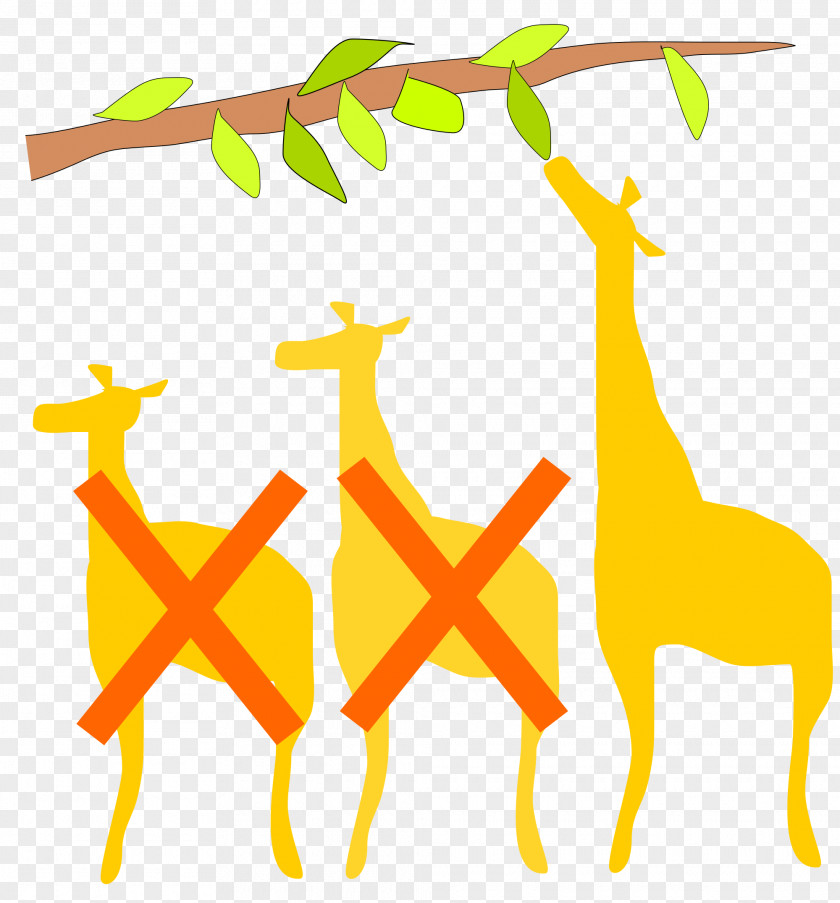 Giraffe Natural Selection Selective Breeding Evolution Survival Of The Fittest Adaptation PNG