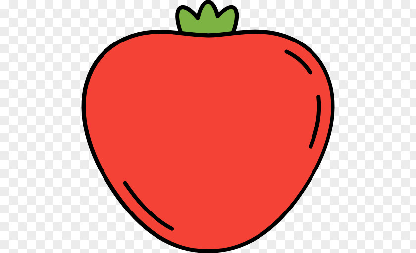 Pomegranate Vector PNG