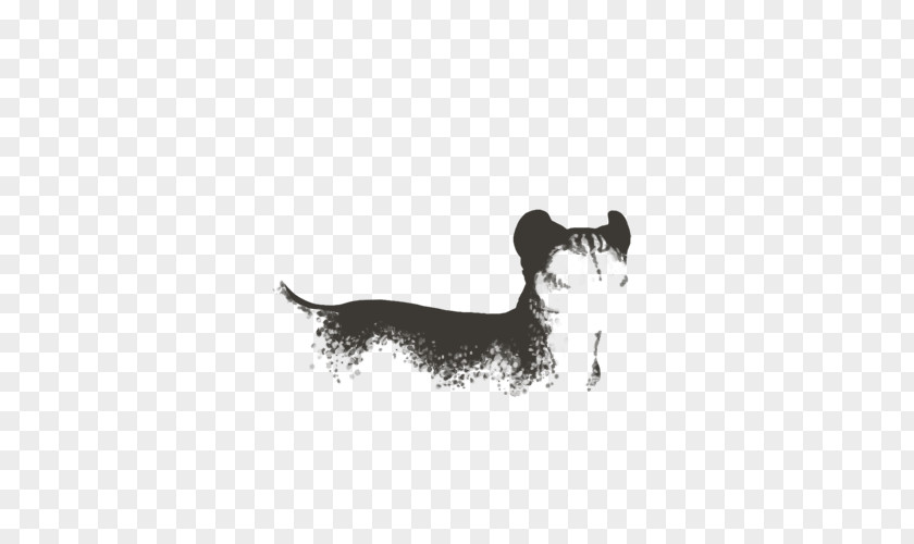 Puppy Italian Greyhound Dog Breed PNG