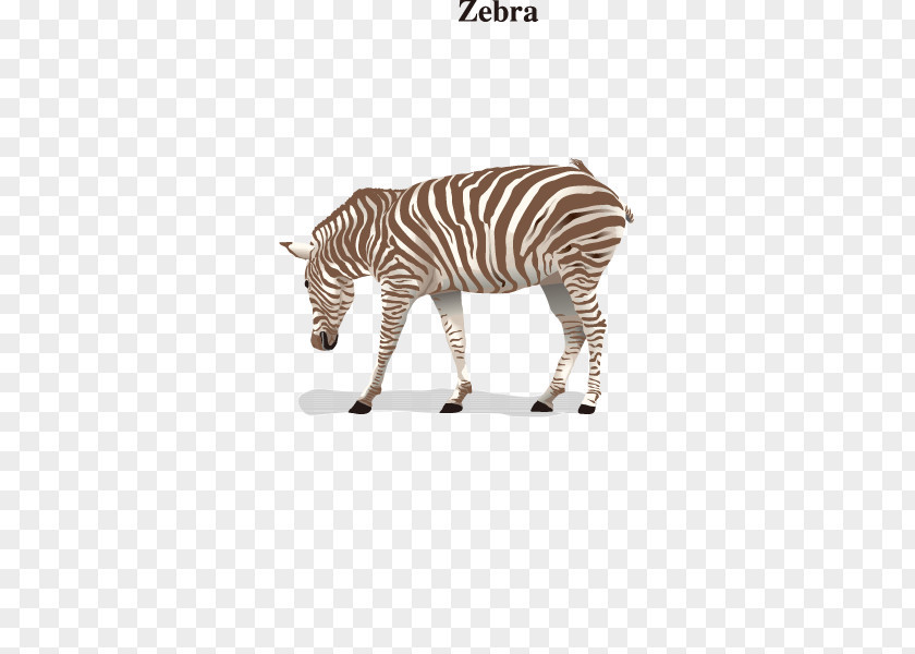 Vector Zebra Quagga Adobe Illustrator Download Illustration PNG