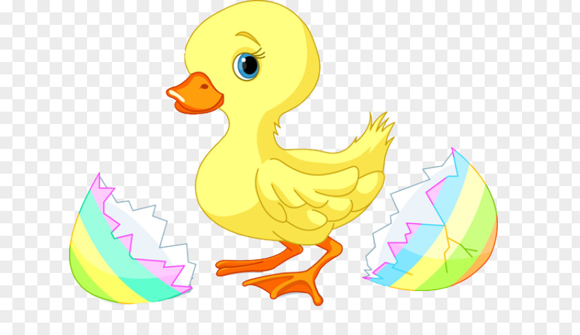 Baby Duck Cliparts Easter Clip Art PNG