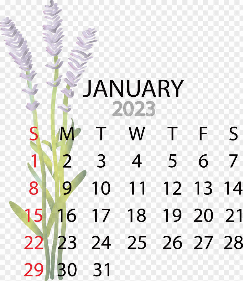 Calendar Advent Calendar Month Bengali Calendar Calendar PNG