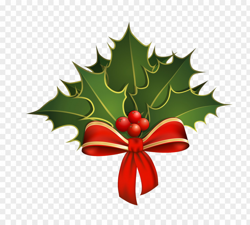 Christmas Holly Stock Photography Clip Art PNG