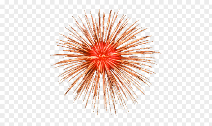 Fireworks Adobe Clip Art PNG