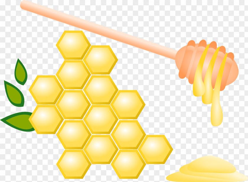 Honey Bee Insect Honeycomb PNG