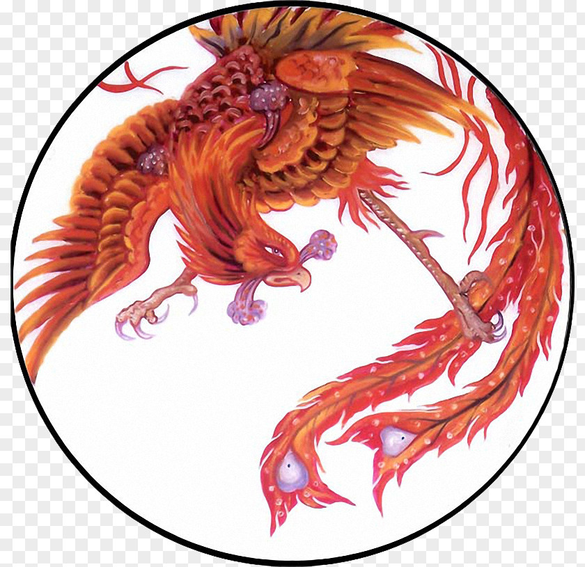 Phoenix Drawing Fenghuang Tattoo Vermilion Bird PNG