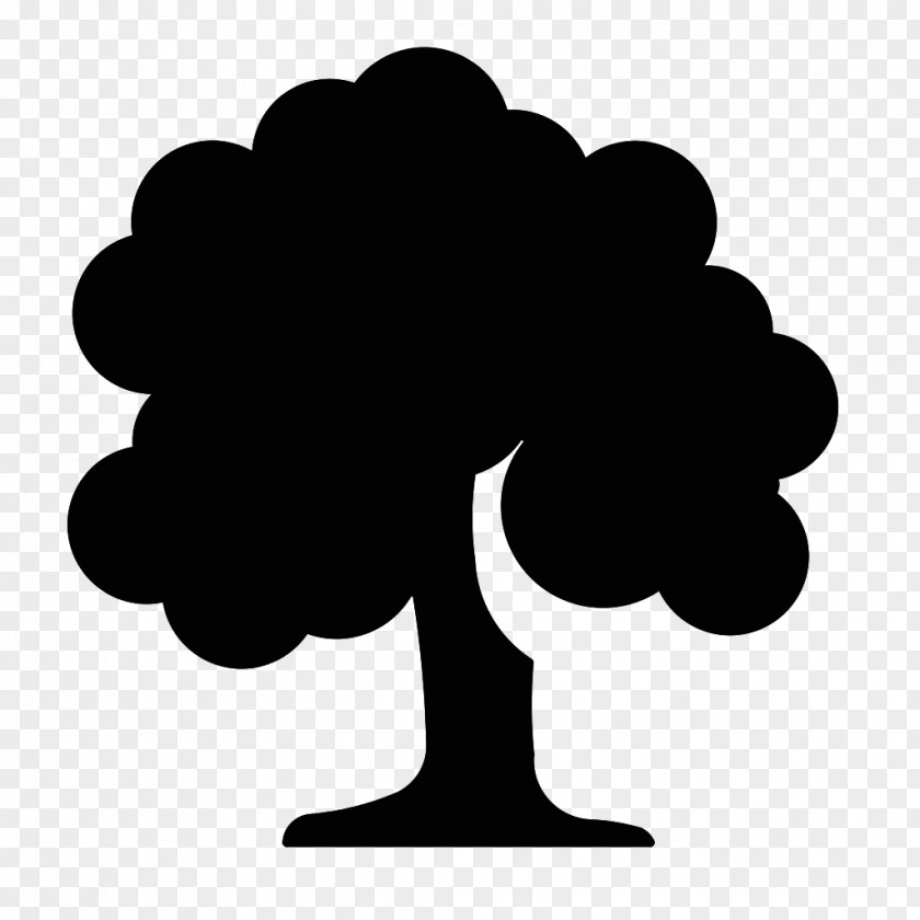 Tree Clip Art Arborist PNG