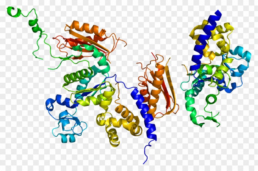 Dna Mismatch Repair Illustration Clip Art Organism Line PNG