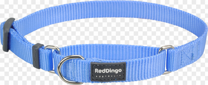 Dog Collar Dingo Martingale PNG