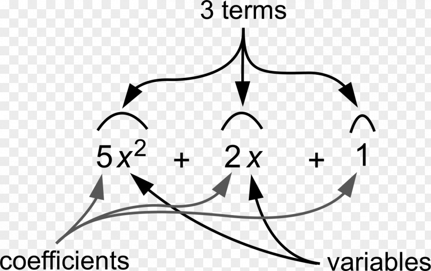 Ear Mite Polynomial Mammal Anatomy Equation Nose PNG